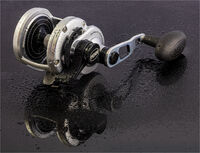 Nigel Du Jardin  Still Life Fishing Reel