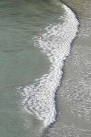 Robin Millard ,Open Print, Surf Pattern
