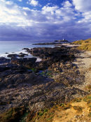 Godrevy Point with rocks exposed at low tide.