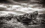 Abandoned to the Elements