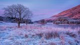 Frost Morning Loch Awe