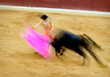 The Matador