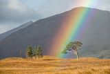 Mountain Rainbow