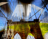 N.Y.C.