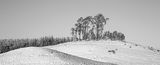 Winter Shapes