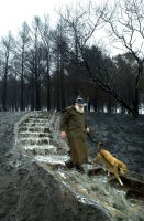 The 2003 Canberra Fire...The first rain