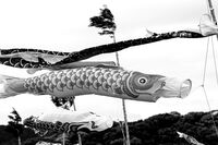 Japan 2024 ac-44