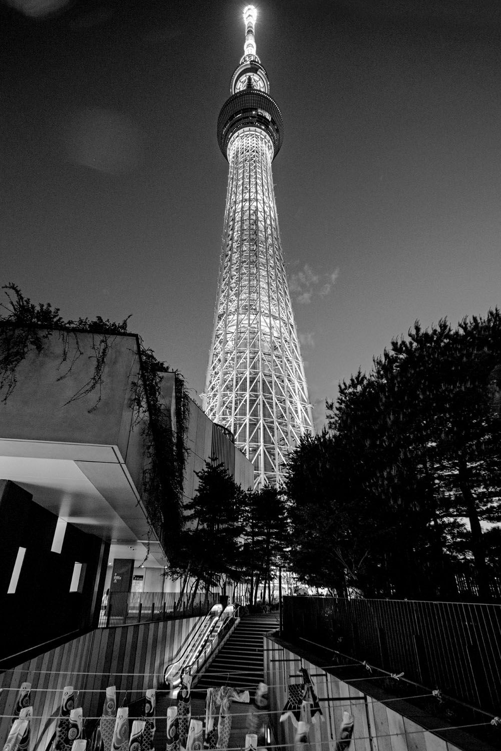 Japan 2024 ac-48