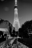 Japan 2024 ac-48