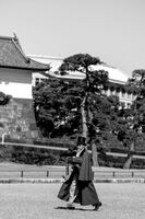 Japan 2024 ac-8