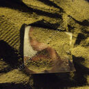 Portrait in sand