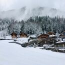 Winter Wonderland