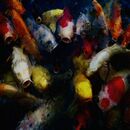 Hungry fish