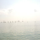 Milk sea