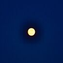 Sun & Moon (series)