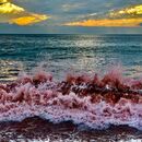 Pacific Ocean encounter (series)