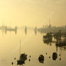 Yellow morning (series)