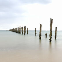 Along the Jetty Sticks