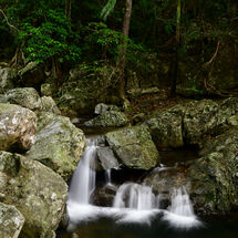 Small Crystal Falling
