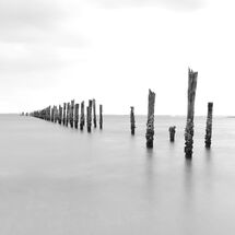 Along the Jetty Sticks B&W
