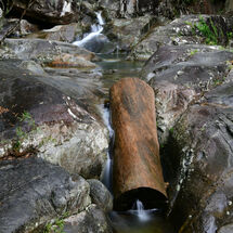 Falls through a Log