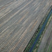 Edzell Lines