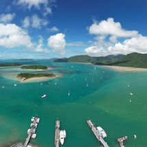 Shute Harbour