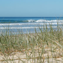 In the Dunes 2