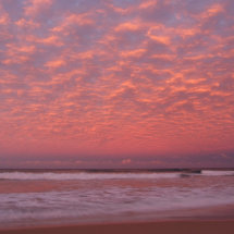 Vibrant Sunset