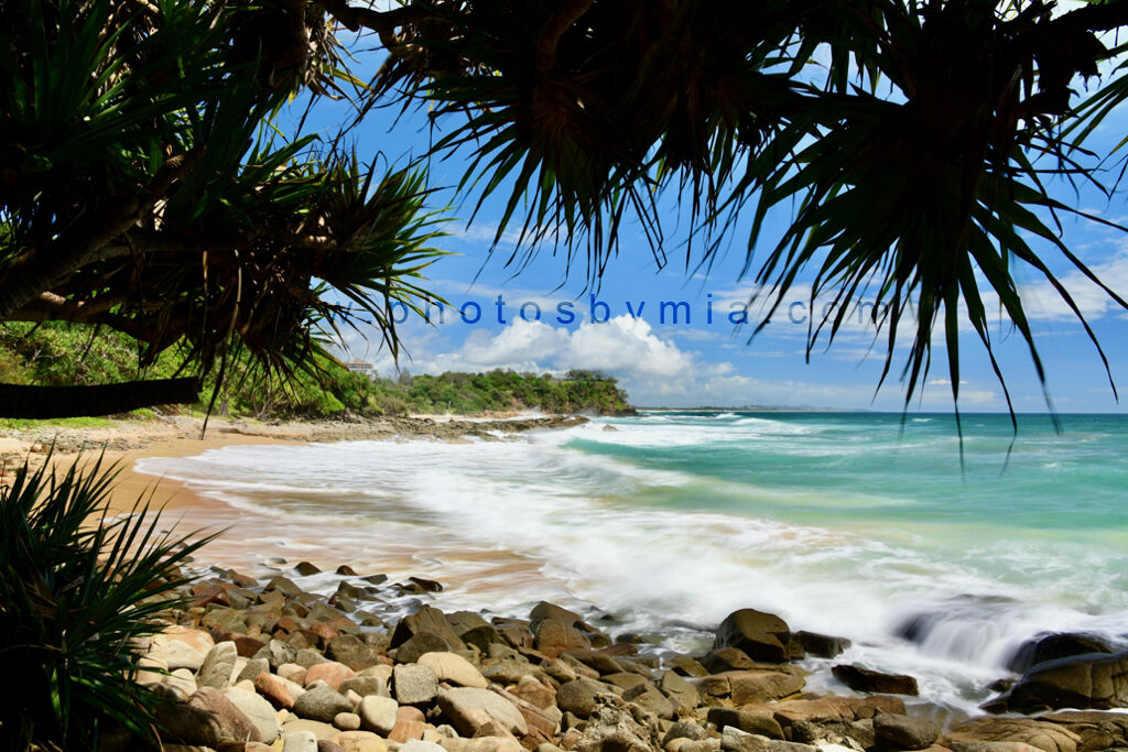 Second Bay from under the Pandanus