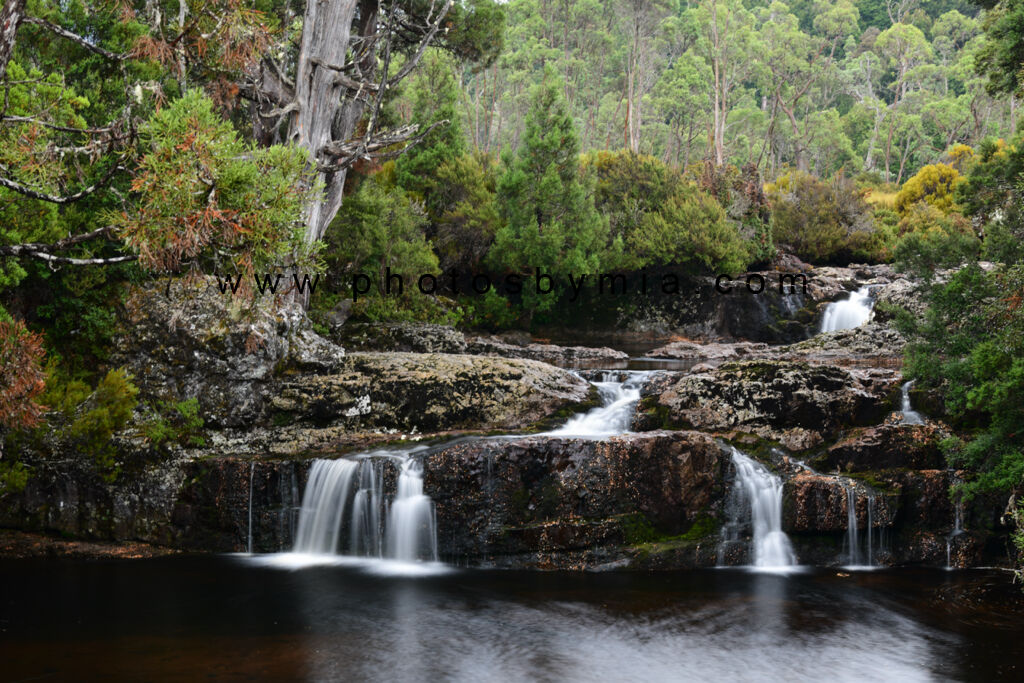 Pencil Pine Cascades