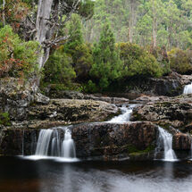 Pencil Pine Cascades