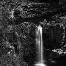 Pencil Pine Falls in Black and White