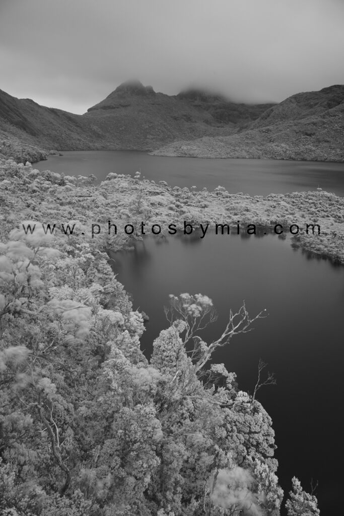 Dove Lake in Infrared