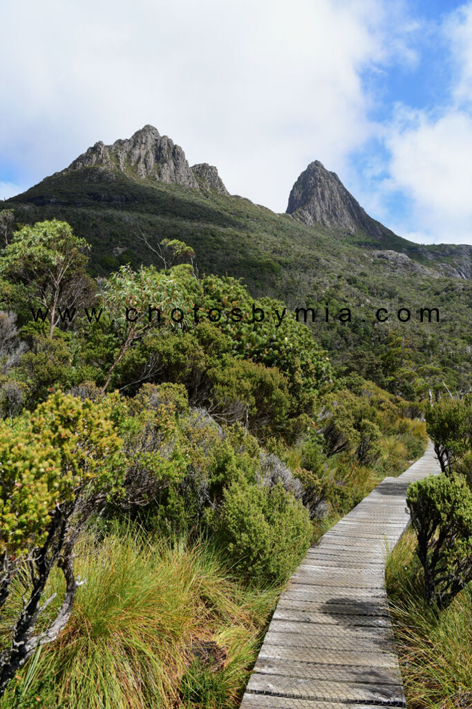 Cradle Mountain Boardwalk