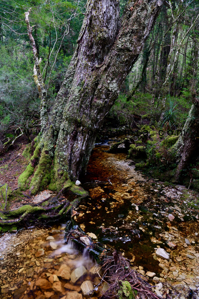 Plateau in the Ballroom