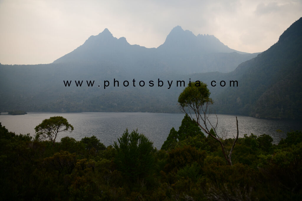 Smokey Cradle Mountain Views
