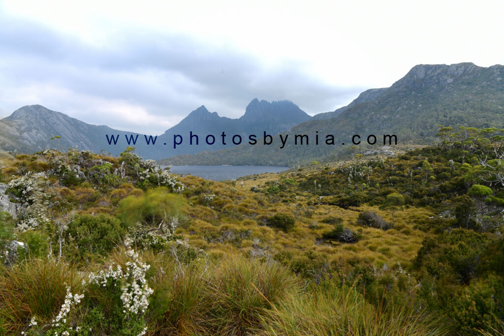 Cradle Mountain National Park