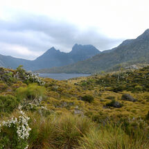 Cradle Mountain National Park