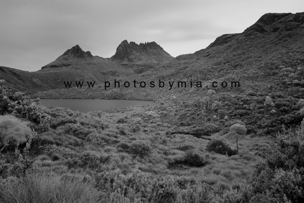Cradle Mountain Views in Infrared