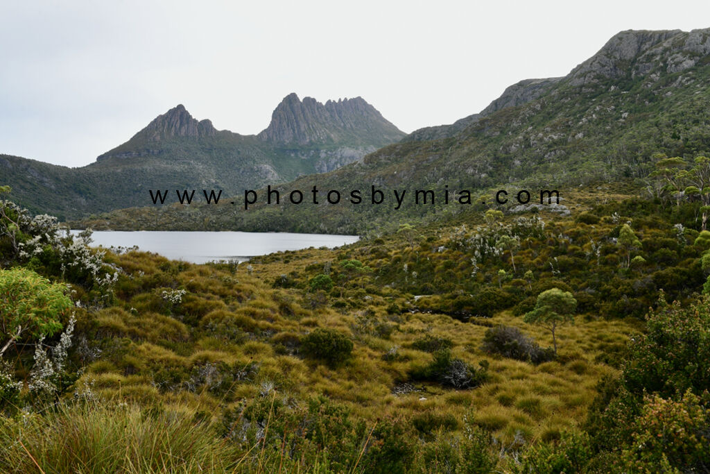 Cradle Mountain Views