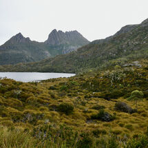 Cradle Mountain Views