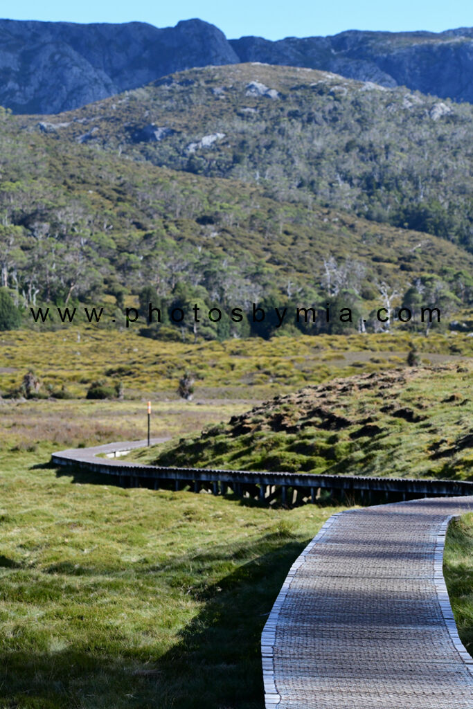 Overland Track