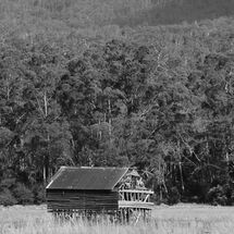 De-structuring in the field