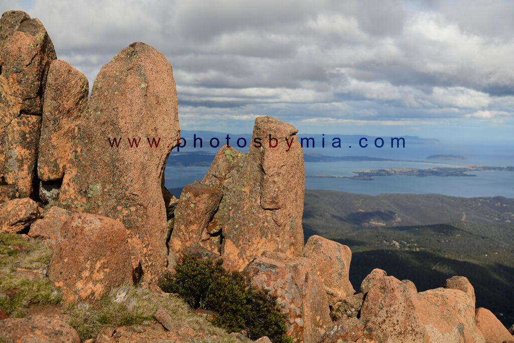 Rocky Mountain Views