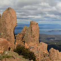 Rocky Mountain Views
