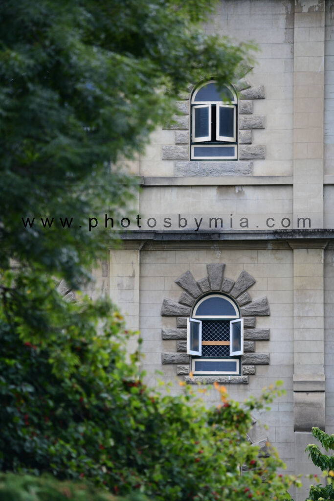 Windows to the Brewery