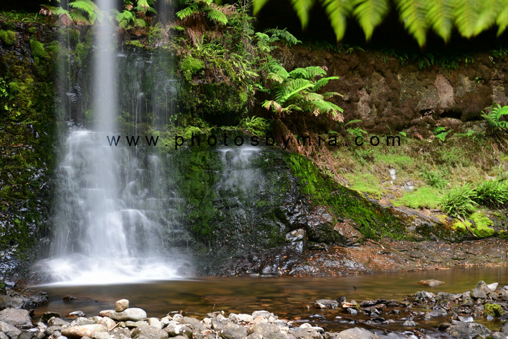Base of Russell Falls