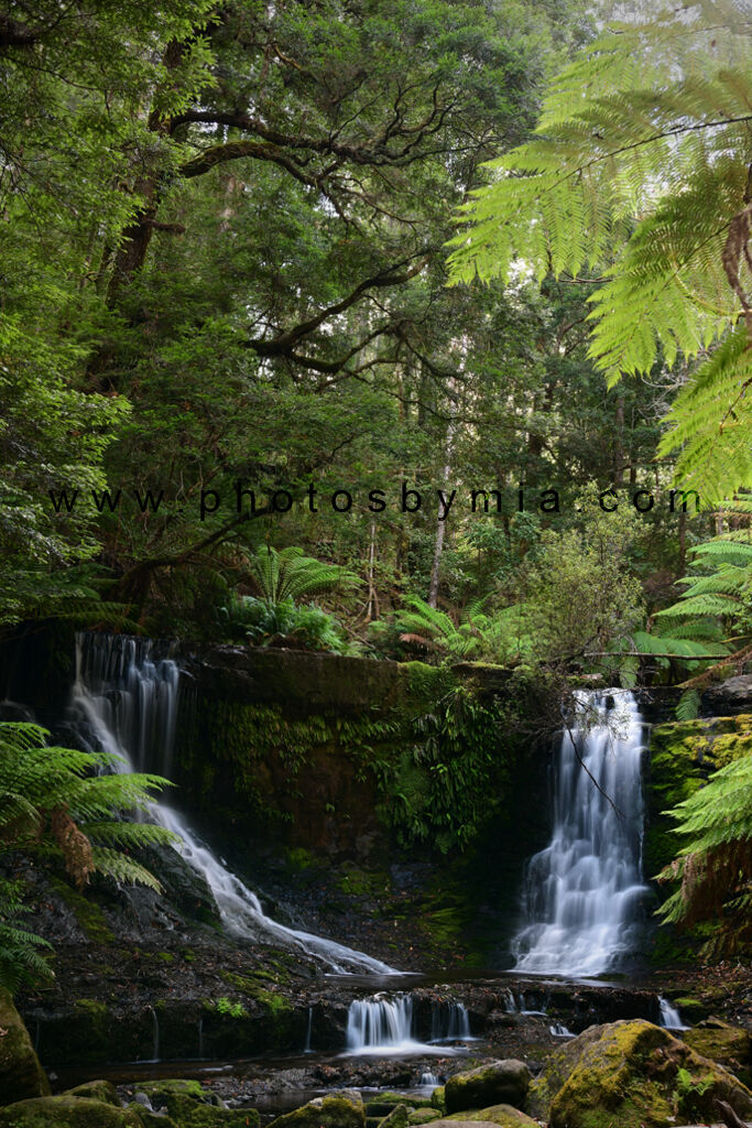 Horseshoe Falls under the trees