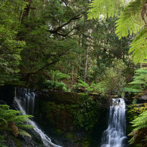 Horseshoe Falls under the trees